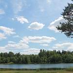 На озёрах Новгородской области добывают уникальный сапропель для косметологии и аграрной отрасли
