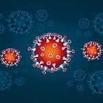 В Новгородской области подтверждены восемь новых случаев коронавируса