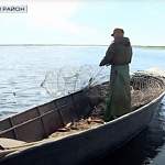 Новгородские рыбаки заняты добычей снетка после 13-летнего перерыва