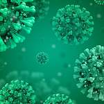 Главные новости о коронавирусе 20 апреля: в Минздраве сделали прогноз о спаде заболеваемости в России 