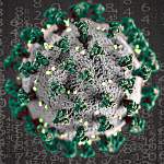 Главные новости о коронавирусе 21 апреля: инфекция может жить на предметах до трех суток