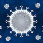 Главные новости о коронавирусе 29 апреля: поступить в вузы и колледжи можно будет через интернет