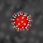 Главные новости о коронавирусе 4 мая: в Минздраве не исключают итальянский сценарий
