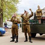 Более ста концертов под окнами ветеранов провели фронтовые бригады в Новгородской области