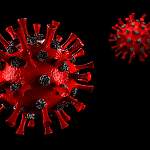 Главные новости о коронавирусе 17 мая: ученые рассказали, когда в России был пик заболеваемости