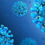 Главные новости о коронавирусе 18 мая: американцы сообщили о новой вспышке COVID-19 в Китае