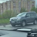 В Великом Новгороде неадекватный водитель раздавил переходивших дорогу утят