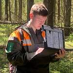 В Боровичском районе впервые за четверть века проведут лесоустроительные работы