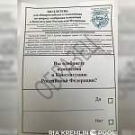 ЦИК РФ показал бюллетень для голосования по поправкам к Конституции