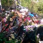 Вблизи Великого Новгорода сельское кладбище утопает в мусоре
