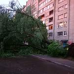 Фото: последствия грозы и ливня в Великом Новгороде