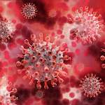 Главные новости о коронавирусе 10 июня: в России спрогнозировали начало второй волны COVID-19