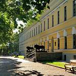 Андрей Никитин назвал даты открытия в Новгородской области летних кафе, библиотек, музеев и гостиниц