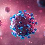 Главные новости о коронавирусе 12 июня: ученые рассказали, когда закончится эпидемия в России