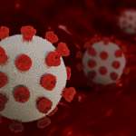 Главные новости о коронавирусе 17 июня: в ВОЗ раскритиковали известный препарат для борьбы с COVID-19