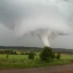 Деревеньку в Вологодской области «посетил» настоящий торнадо