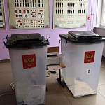 Опубликованы предварительные итоги голосования в Новгородской области