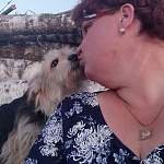 Благодаря собаколюбивым пестовским водителям Таисия Евгеньевна избежала верной гибели