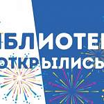 «53 новости» узнали, как работают в новых условиях новгородские библиотеки