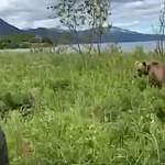 Андрей Никитин повстречал медведя на Камчатке