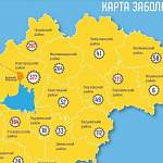 В Новгородской области новые случаи коронавируса зарегистрированы в пяти муниципалитетах