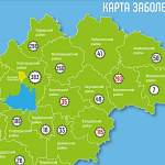 Великий Новгород и Боровичский район показывают постоянство в статистике коронавируса