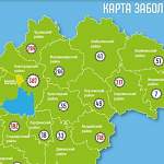 Новые случаи COVID-19 отмечены в семи муниципалитетах Новгородской области