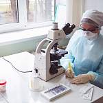 В Новгородской области за сутки заразился коронавирусом 21 человек