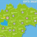 Новые случаи COVID-19 в регионе отмечены в Великом Новгороде, его окрестностях и в Боровичском районе