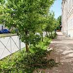 Новгородские власти обещают украсить «оградки» вдоль дорог цветами 