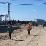 В Чудовском районе на строительстве электростанции поймали пятерых мигрантов без разрешения на работу