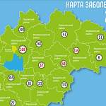 Больше половины новых случаев заражения коронавирусом в регионе пришлись на Великий Новгород