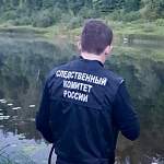 Следователи задержали подозреваемого в убийстве мужчины в Поддорском районе