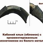 Клык кабана с металлическим наконечником стал уникальной находкой на раскопках в Великом Новгороде