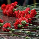 «Комсомолка» рассказала о жителе Казахстана, который нашел в Новгородской области могилу погибшего на войне отца
