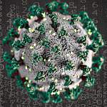 Главные новости о коронавирусе 15 сентября: во Франции создают необычный препарат от COVID-19