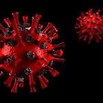 Главные новости о коронавирусе 16 сентября: в ВОЗ прокомментировали ситуацию с COVID-19 в России