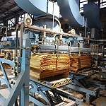 На расширение производства «Парфинского фанерного комбината» планирует выделить 448,5 млн рублей