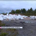 Грибник обнаружил в Новгородском районе залежи мешков с солью