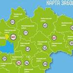 Великий Новгород и Боровичский район разделяет один случай COVID-19 в сутки