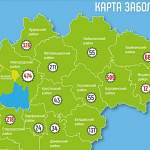 Боровичский район обогнал Великий Новгород по числу регистраций COVID-19 за сутки