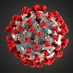 Главные новости о коронавирусе 26 сентября: в Роспотребнадзоре объяснили рост заражений COVID-19 в России