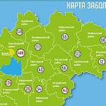 В Великом Новгороде за сутки заболели коронавирусом 29 человек. В Боровичском районе — 0
