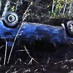 Престарелый водитель сбил ровесницу в посёлке Хвойная