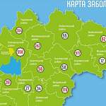 Новые случаи коронавируса в Новгородской области отмечены на территории 13 муниципалитетов