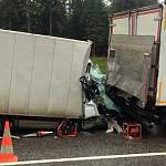 Столкновение мини-грузовиков в Окуловском районе закончилось гибелью водителя одного из них 