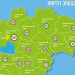 В Великом Новгороде за сутки заразились коронавирусом 37 человек