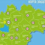 Новые случаи коронавируса зарегистрированы в 13 муниципалитетах Новгородской области