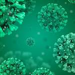 Главные новости о коронавирусе 2 ноября: инфекционист дал прогноз по пику заболеваемости в России