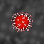 Главные новости о коронавирусе 6 ноября: рост заболеваемости в России может продлиться еще неделю
